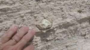 Bolas de azufre incrustados en la pared